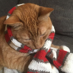 Meet your Posher, Kate